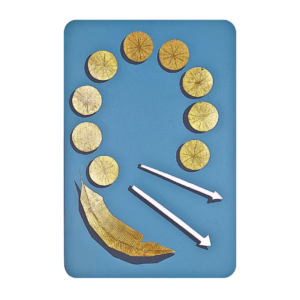 Sirena Partenope stilizzata